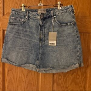 Everlane Blue Jean Shorts